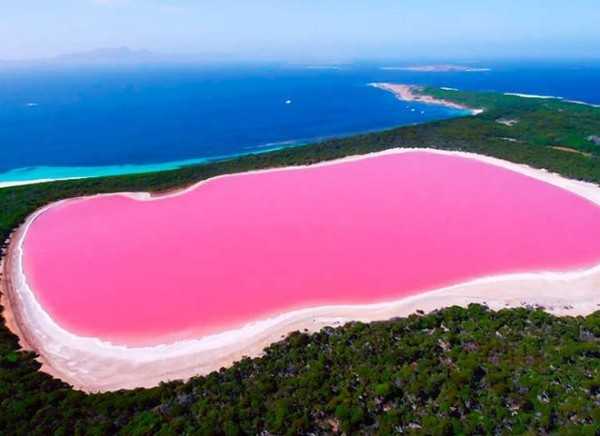 розовое озеро в Австралии