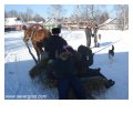 катание на лошадях в зимние каникулы
