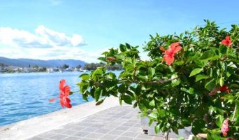 Круиз по трем островам: Эгина, Порос, Идра