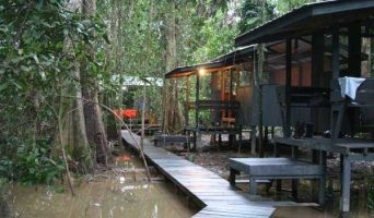 Сердце Борнео