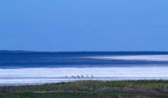 Алтай. Кулундинское озеро