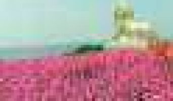 Наше большое путешествие на Юг. Алупка