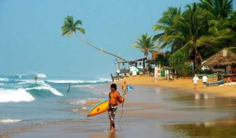 Цейлон — знаменитый чайный остров Индийского океана