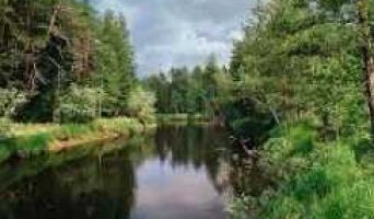 Сибирь, лес, палатка и Григорий