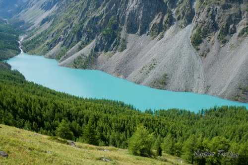 Нижнее Шавлинское