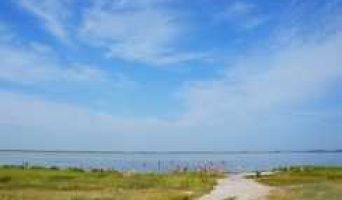 Соленое озеро Мормышанское в Алтайском крае