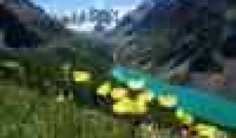 Что посетить на Алтае?