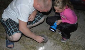 Село Молочное неподалёку от Евпатории населено мутантами