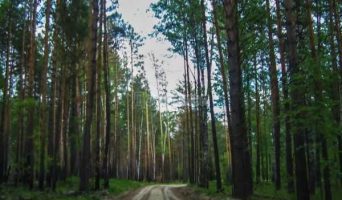 Вынужденное путешествие по дорогам Томского района