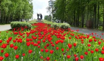 Моё знакомство с колоритным городом Томском