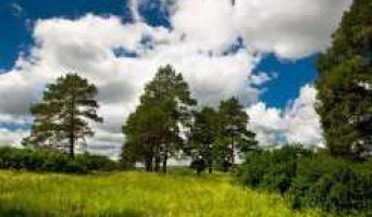 Велопоход к деревне Золотая гора