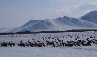 Зимний Байкал превзошел все ожидания!