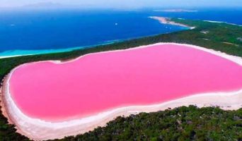 Розовое озеро Хиллер в Австралии