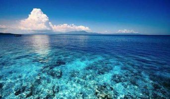 Из колыбели природы. Море Сулавеси