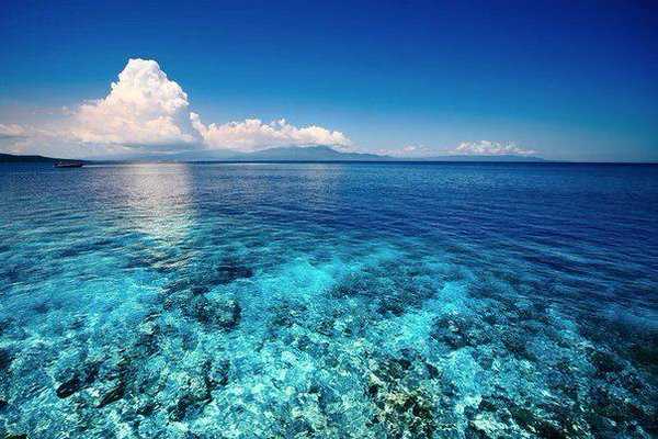 Из колыбели природы. Море Сулавеси - Моя география