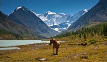 Как провести время в республике Алтай