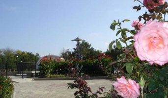 Наше большое путешествие в Крым. Город-курорт Саки