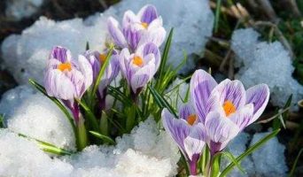 Как удивить любимую на 8 марта