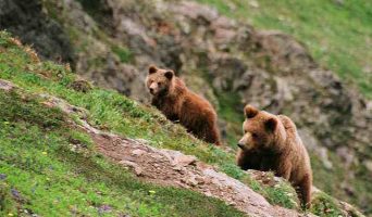 Байкальский биосферный заповедник. Общая информация и туризм