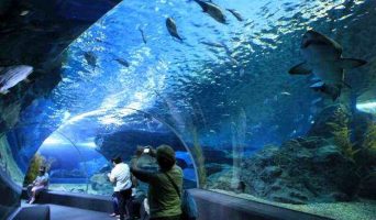 Что такое настоящее лето или я путешествую в одиночку. Паттайя