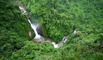 Вся природа Таиланда в национальном парке Кхао Яй