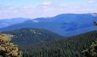 Восхождение на Говерлу по неофициальному красному маршруту