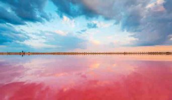 Наше большое путешествие на Юг. Розовое озеро Сасык в Крыму