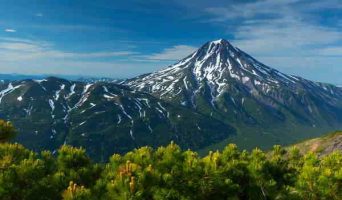 Невероятное сафари по Камчатке — краю медведей и дикого лосося