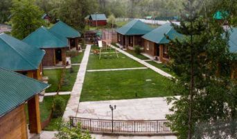 Бузулукский бор, Оренбургская область