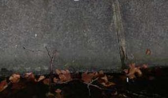 В Адлере жилье сдается даже в канавах