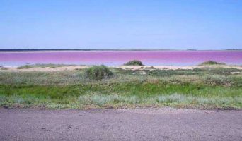 Малиновое озеро Алтайского края