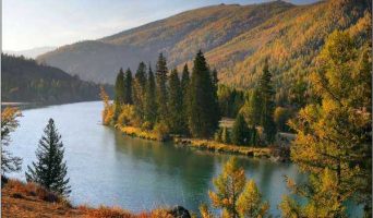 Аргут – река с мужским характером