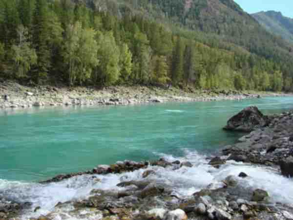 Рыбалка в реке Катунь в горном Алтае - виды рыбы, характеристики