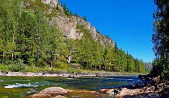 Красавец Алтая — Урсул