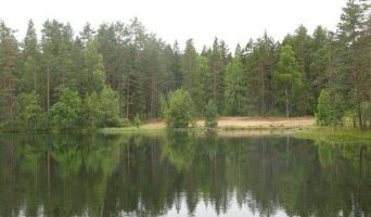 Для тех, кто влюблен в Карелию. Ихала