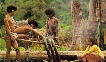 Заповедник Таман Негара