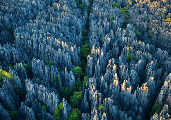 каменные леса Цинги
