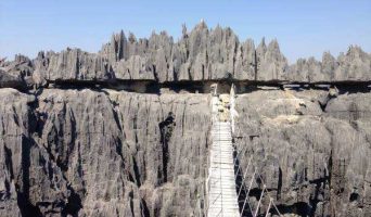 Мадагаскар. Экскурсия в каменные леса Цинги