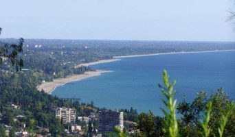 Отдых в Сухуми