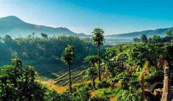 Путешествие по Северному Тайланду