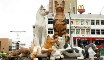 Знакомьтесь, Кучинг- малайзийская столица кошек