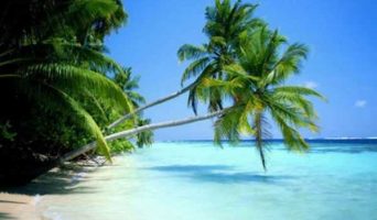 Рассказы об отдыхе в Доминикане