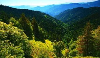 Путешествие по Грузии: Боржоми