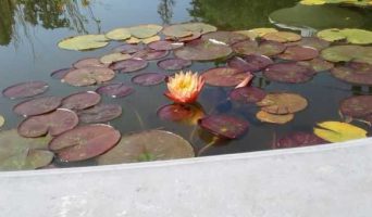 Отдых в Крыму. Симеиз. О поселке и окрестностях