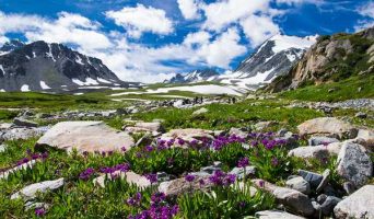 Поездка на Алтай. Тур Актру – Чемал — Телецкое озеро