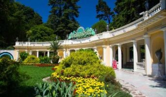 Дендрарий – экзотический уголок природы в центре Сочи