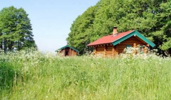 Экотуризм: зачем он нужен и куда за ним поехать?