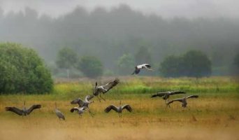 Незабываемые путешествия по самому обычному Подмосковью