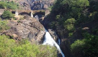 Водопад Дудхсагар — джунгли, экзотика и немного экстрима