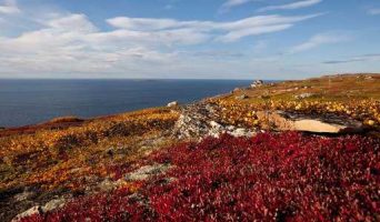 Отдых в России – суровая красота Кольского полуострова